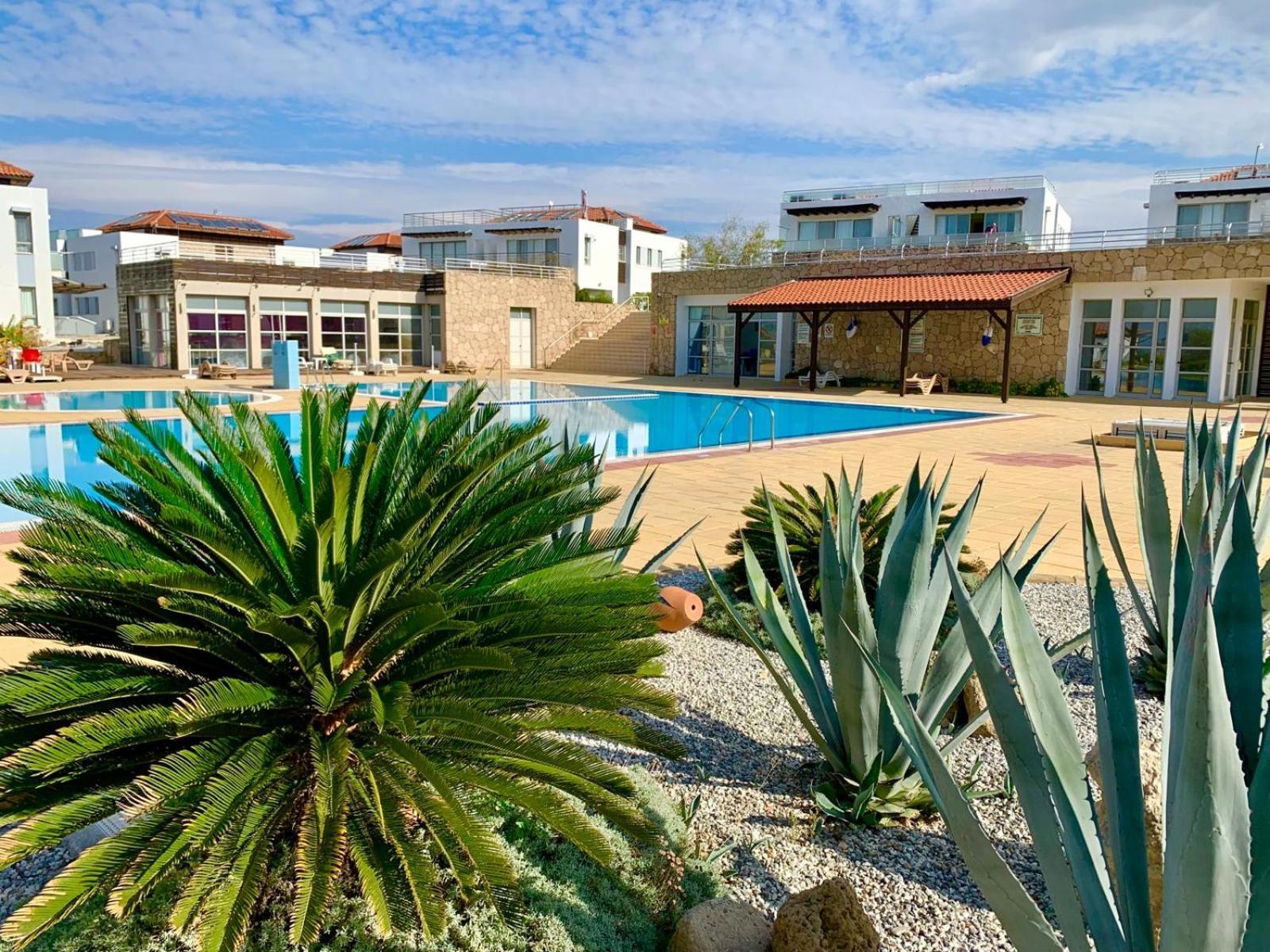 Boho Bay Apartment Akanthou Esterno foto