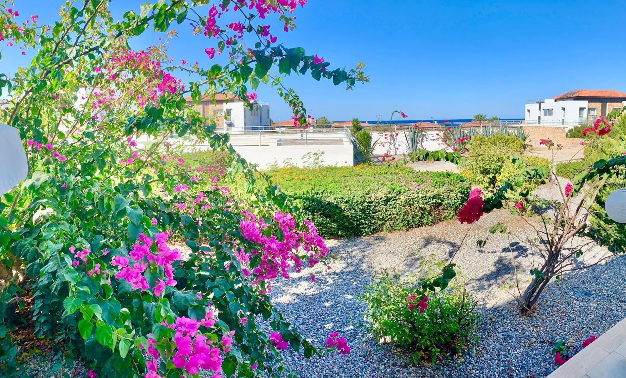 Boho Bay Apartment Akanthou Esterno foto